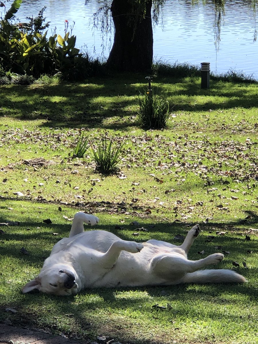 mielie44's tweet photo. Day 40. Day dreaming. https://t.co/NvMKjCUhnD