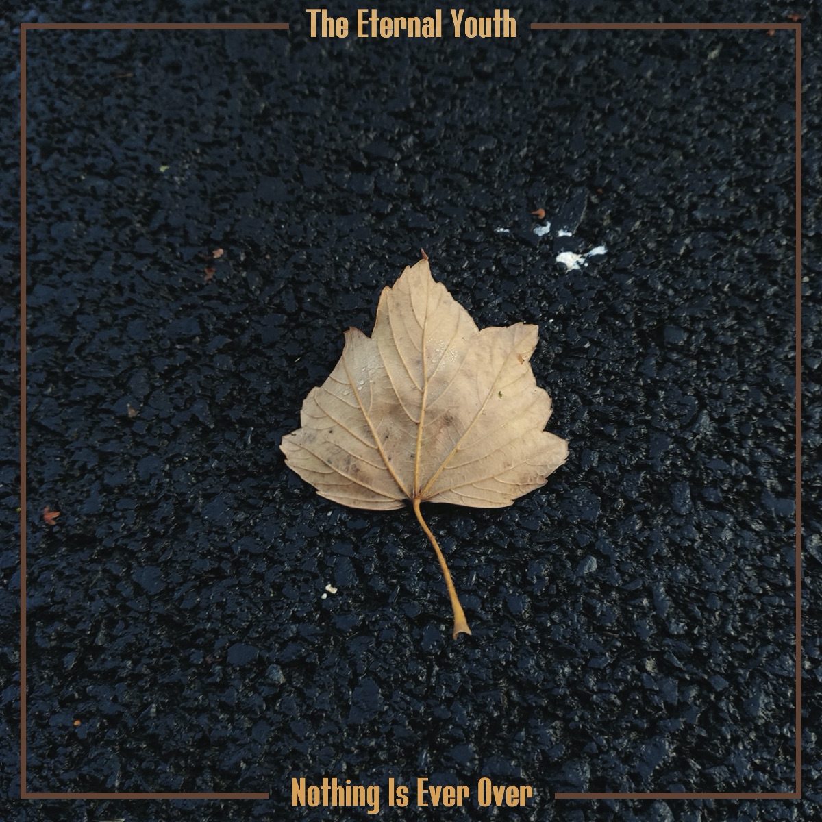 THE ETERNAL YOUTH : deuxième album en précommande ! - mailchi.mp/db554f5eaadb/t…