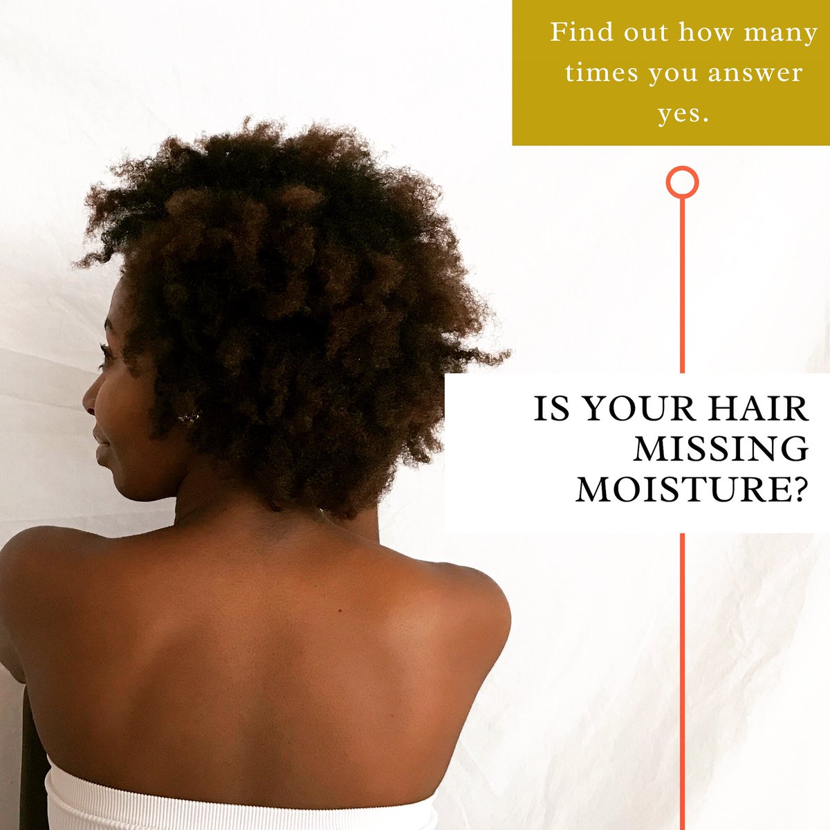 nilotiqa's tweet photo. Is your hair missing moisture?
Find out how many times you say YES.
———
#MoisturizeWithNilotiqa
#HairCareThatLovesYourHair
#AvailableAtPnP
#AvailableAtClicks https://t.co/E4w143DRdY