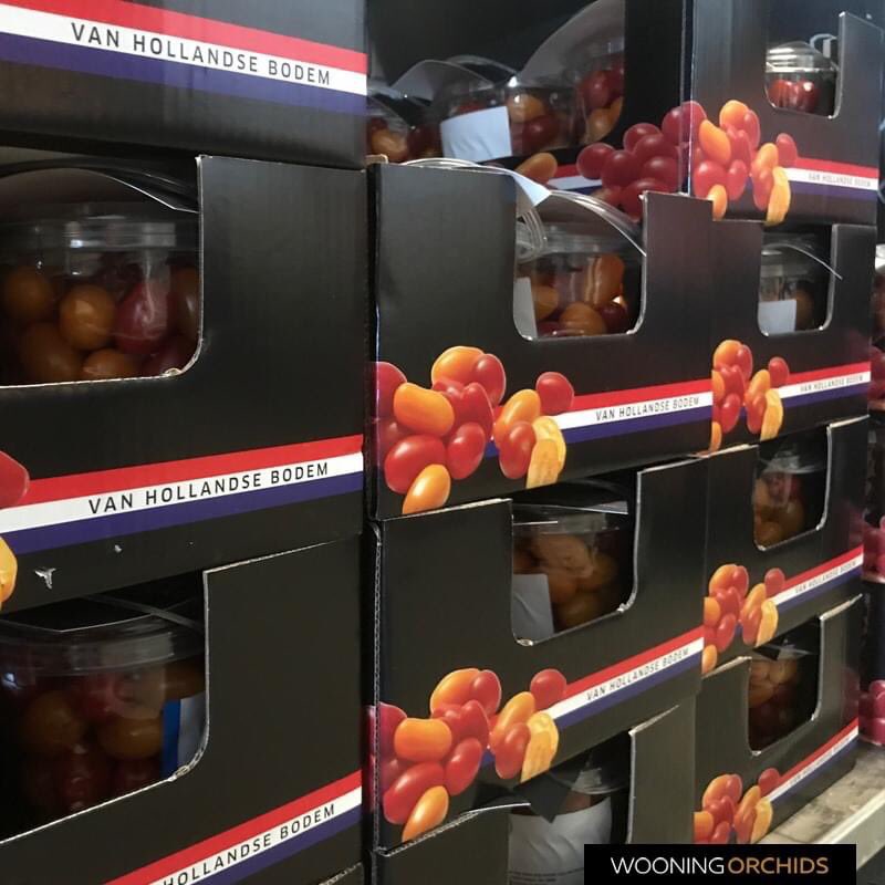 WooningOrchids's tweet photo. Yesterday afternoon, all employees were surprised with a healthy snack. A sign of appreciation during this period!

#wooningorchids #staysafe #stayhealthy https://t.co/zfpY9jo2uB
