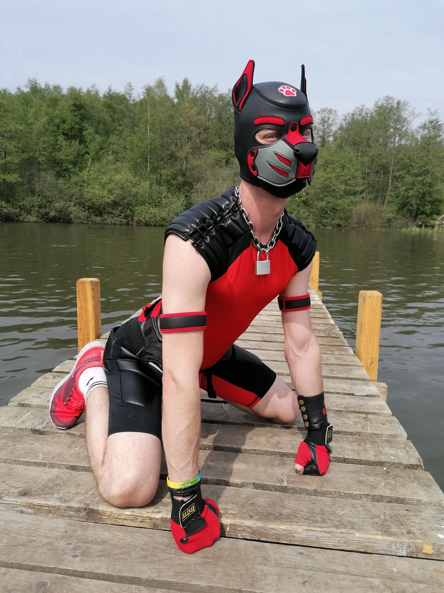 SkippythePuppy's tweet image. Arrawwff 🐶
#puppys #gayguy #fetishphotography