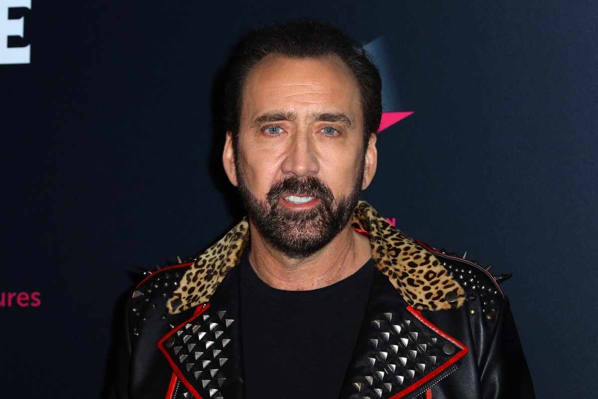 verge's tweet photo. Nicolas Cage is playing Joe Exotic in a new Tiger King TV show, of course https://t.co/FhmYx4TX65 https://t.co/e4HZUSduuk