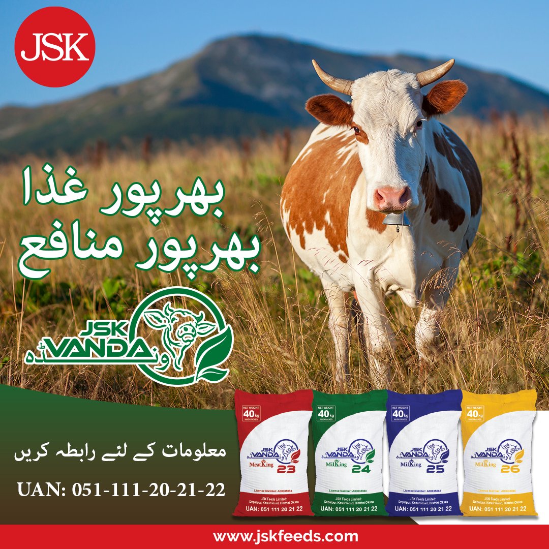 jskfeeds's tweet photo. غیر معیاری کَھل سے چھٹکارا پائیں
مویشیوں کی بہتر افزائش کے لئے JSK ونڈہ اپنائیں۔

For more queries contact us @ 03000555426
#JSKFeeds #JSK #Vanda #Wanda #BestAnimalFeed #farming #TuesdayThoughts https://t.co/KCIjZUfC0x