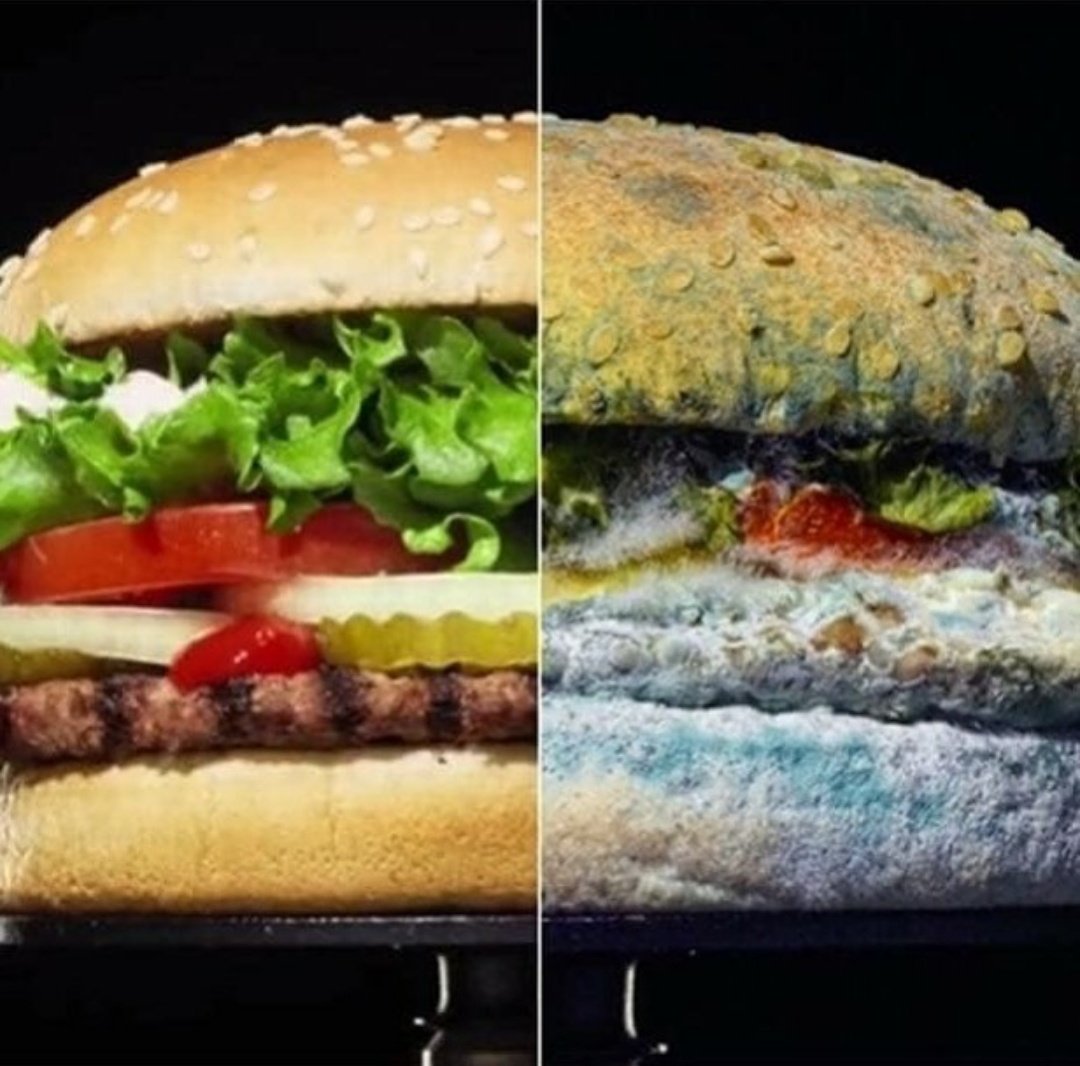 MarketingIgnora's tweet photo. Per dimostrare l'utilizzo di prodotti naturali, privi di conservanti, Burger King ha (coraggiosamente) messo alla luce gli effetti della decomposizione (in 34 giorni) su un loro panino. https://t.co/eeSJO9VBio