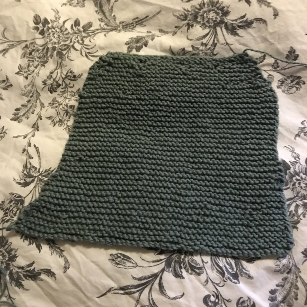 research_louise's tweet photo. @EgliVictoria @RachaelParke @MerrynGott @JackieRob434 Ok, so itโs not square. But it is knitted & not falling apart so Iโm gonna take it as a win #firsttimeknitting https://t.co/LuyzbWKmDO