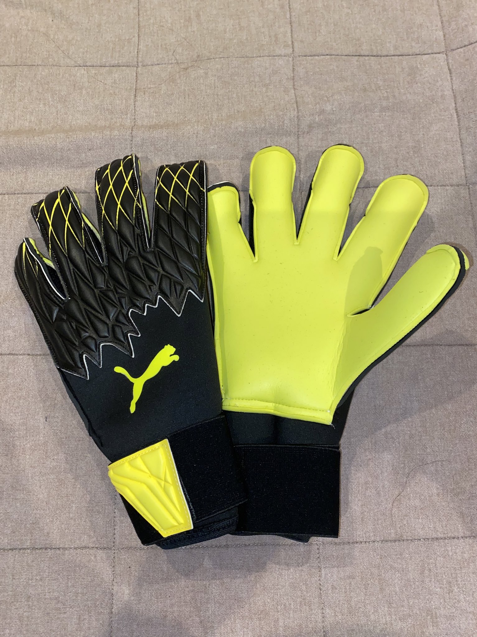 超高品質販売中 キーパーグローブプロ支給品プーマパワーキャット www