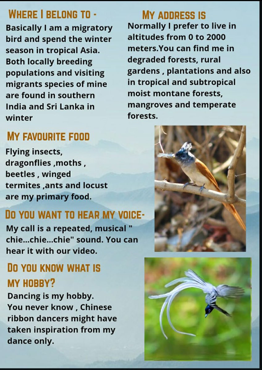 BeingIfs's tweet photo. Topic of the Day : Indian Paradise Flycatcher
KYC Series- Issue #20
#KYC_IGNFA #IFSBatch2019
Text and Design : Kajol Patil (IFS, 2019 Batch)
P.C. Shubhankar Kulkarni
Part 1 https://t.co/rQKz5txNn2