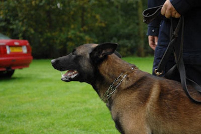 Politie achtervolgt dronken hardrijder die weigert te stoppen op de Callantsogervaart in Julianadorp..