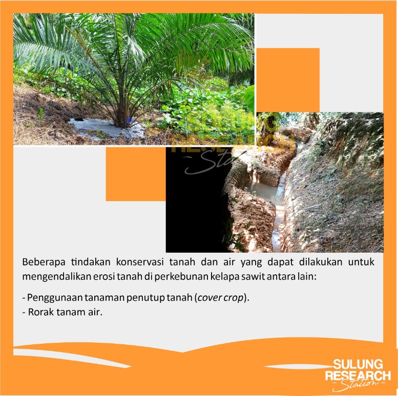 sulungresearch's tweet photo. Erosi adalah peristiwa terkikis atau terangkutnyabagian-bagian tanah dari satu tempat lalu diendapkan di tempat lain oleh media alami air dan/atau angin.

#citraborneo #palmoil #research
#sulungresearchstation
#erosi #soil
#erositanah

Info lebih lanjut :
https://t.co/lPMXh73UuD https://t.co/yN2xY0TKxq