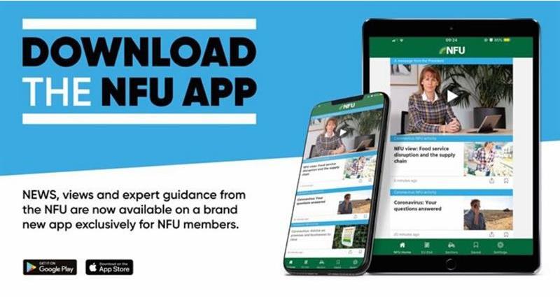 NFUtweets's tweet photo. With over 70 articles on #COVID19, get your questions answered about the coronavirus pandemic and its impact on your sector on the NFU app 📲✅
Search 'NFU' in the Google Play or iOS App Store now https://t.co/izIboRXJXy https://t.co/3CgqWeWvuU