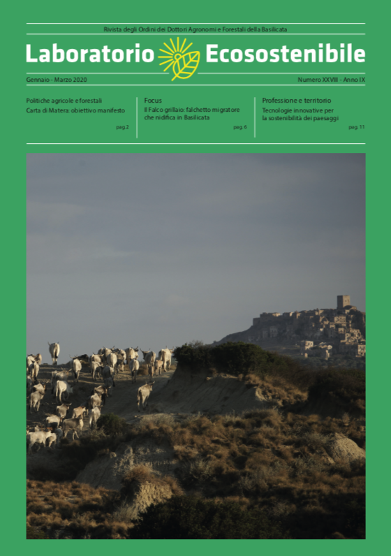 on line il 28simo numero di Laboratorio Ecosostenibile - rivista degli Ordini dei dott.Agronomi e Forestali della Basilicata  agronomiforestalipotenza.it agronomimatera.com <a href="/AFMatera/">AgronomiForestaliMT</a> <a href="/agroforpz/">agronomiforestalipz</a> <a href="/CarmineCoccaMT/">Carmine Cocca</a> <a href="/_conaf/">@CONAF</a>