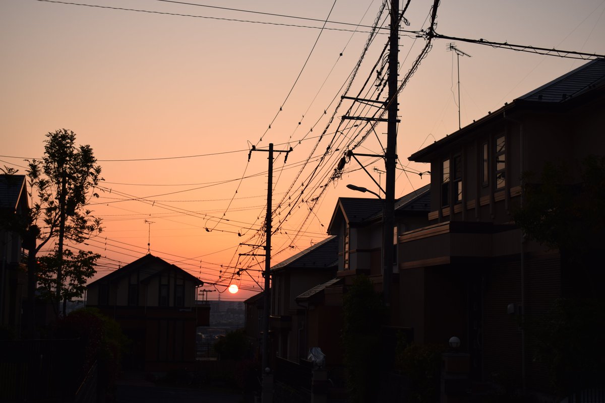 ばさばさ 〆生きねば研究室 V Twitter 金子みすゞ 大漁 より 朝焼小焼だ 大漁だ 大羽鰯 おおばいわし の 大漁だ 浜は祭りの ようだけど 海のなかでは 何万の 鰯のとむらい するだろう