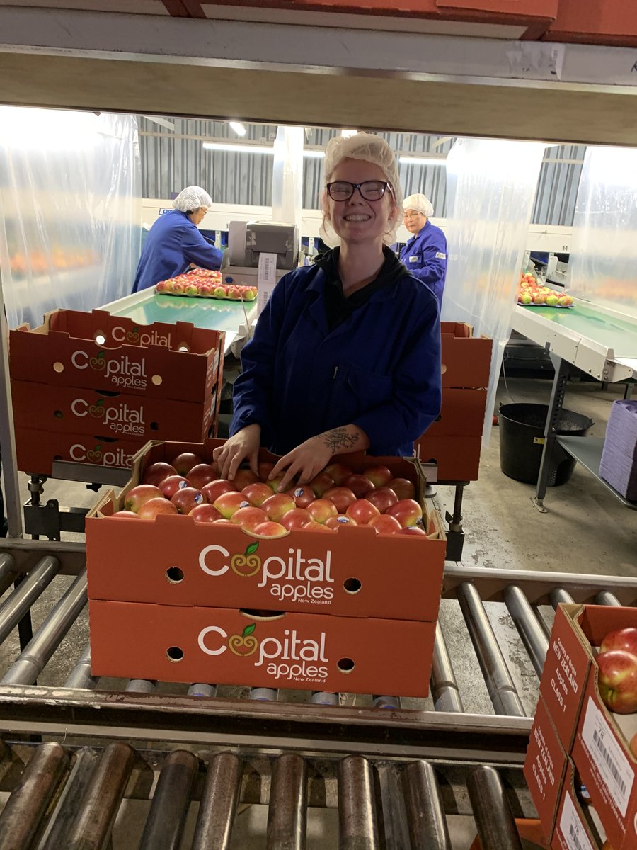 KollaUk's tweet photo. Grown outside Wellington capital city of New Zealand we are proud to introduce Capital Brand of the finest NZ apples to our customers ! #fruitnveg_spits #thefoodmarket #capitalapplesNZ#nzapples https://t.co/Bpif6rxz8y