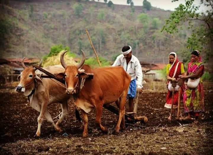 Pankajphogat01's tweet photo. The Real Bahubali of India FARMER #किसान_कर्जा_मुक्ति 

Retweet If You Agree ✔️ 
#किसान_कर्जा_मुक्ति 
#किसान_कर्जा_मुक्ति https://t.co/pJ7rTSFJ1a