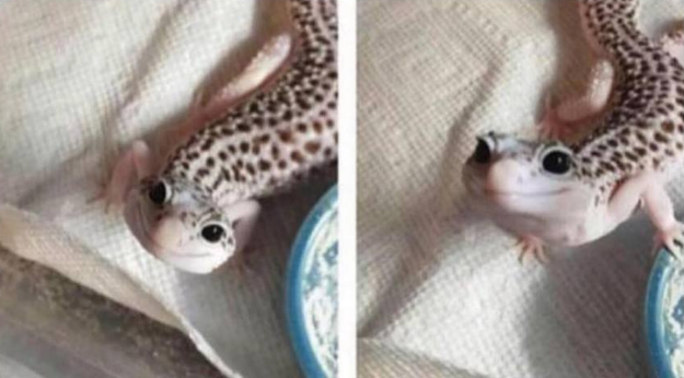 Cuando ella está esperando a que le acabes en la cara