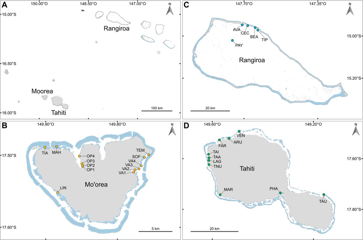 bessonmarc's tweet photo. Our paper examinign the #metal and #metalloid levels in sediments from #coral #reefs of French Polynesia is out in Marine Pollution Bulletin (https://t.co/mCtNYiAAPp). Important baseline information for this region of the world and for #CoralReefs. @criobe_pf @EPHE_PSL @psl_univ https://t.co/8esgW8ymcB