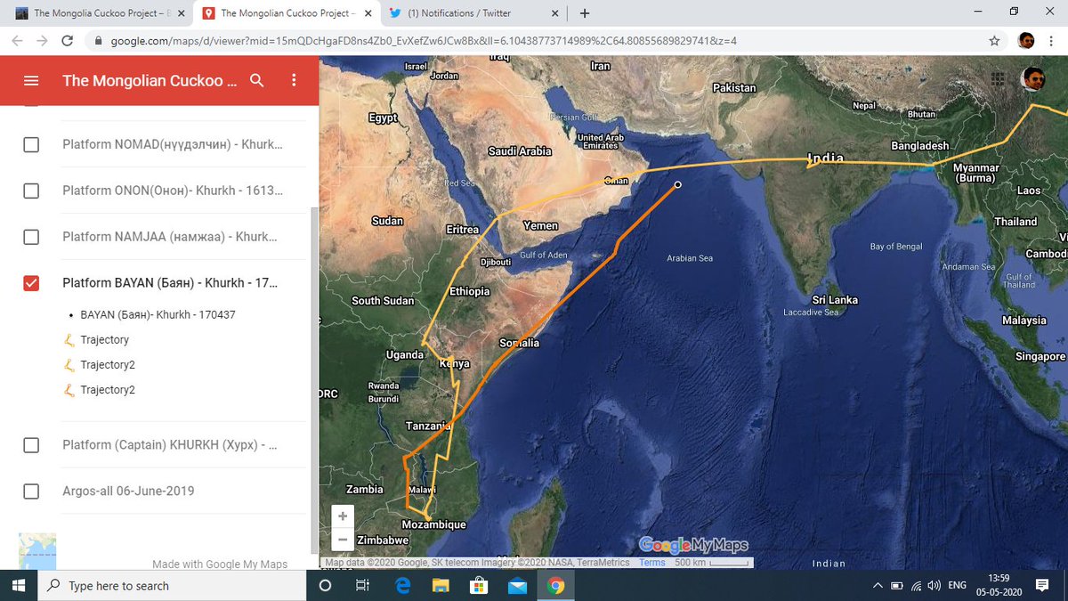 He is Bayan. Another Cuckoo wearing a solar-powered transmitter, the signals from which are picked up by satellites. He is closely following path of Onan & soon will cross Arabian Sea. He was in Somalia on 2nd May & flying without any rest. This is incredible.