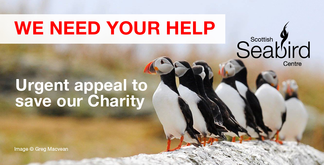 SeabirdCentre's tweet image. 📢WE NEED YOUR HELP📢
Without the vital income from our Visitor Centre our charity's future is under threat. Please help us continue to inspire conservationists of the future and give what you can to our urgent appeal.
#SaveourSeabirdCentre
Donate👉bit.ly/2Sqivjc