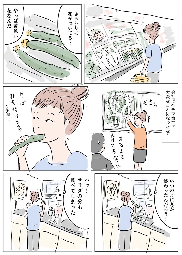 暑くなるときゅうりが美味い…。

ちなみにオフィスの窓際でヘチマを育てたのは本当です。

上司が毎年夏に窓際でプチトマトを育てていて、土が余ってたんで勝手にヘチマを植えたんです。予想外にぐんぐん成長してわりと手に負えない感じになりました。

#コルクラボマンガ専科  #1Pマンガ 