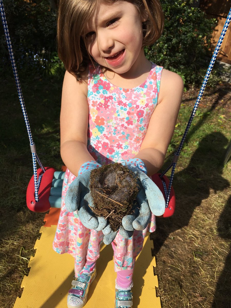strutinUK's tweet image. N wanted to share this abandoned birds nest we found while working in the garden yesterday @latimerprimary #ClassHC