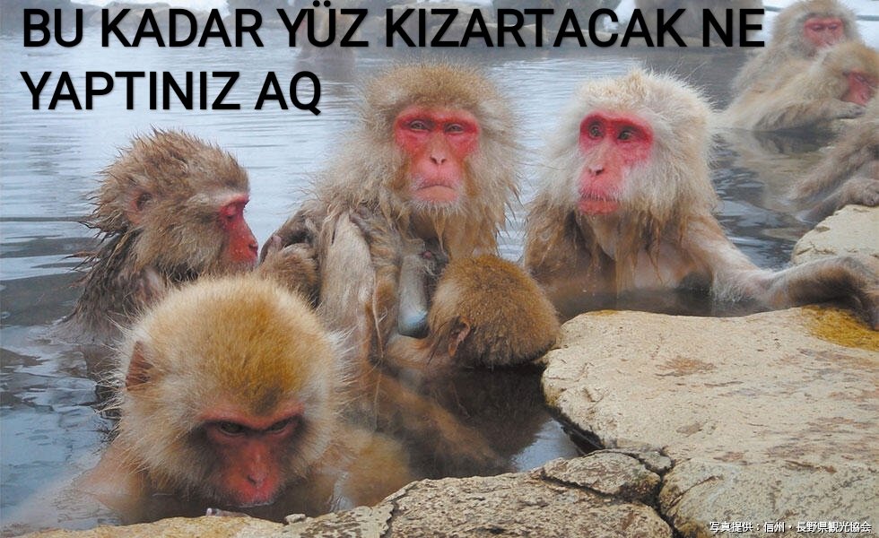 İNSAN OLMAYA ÇALIŞTIK  #YAZIK #suspayı