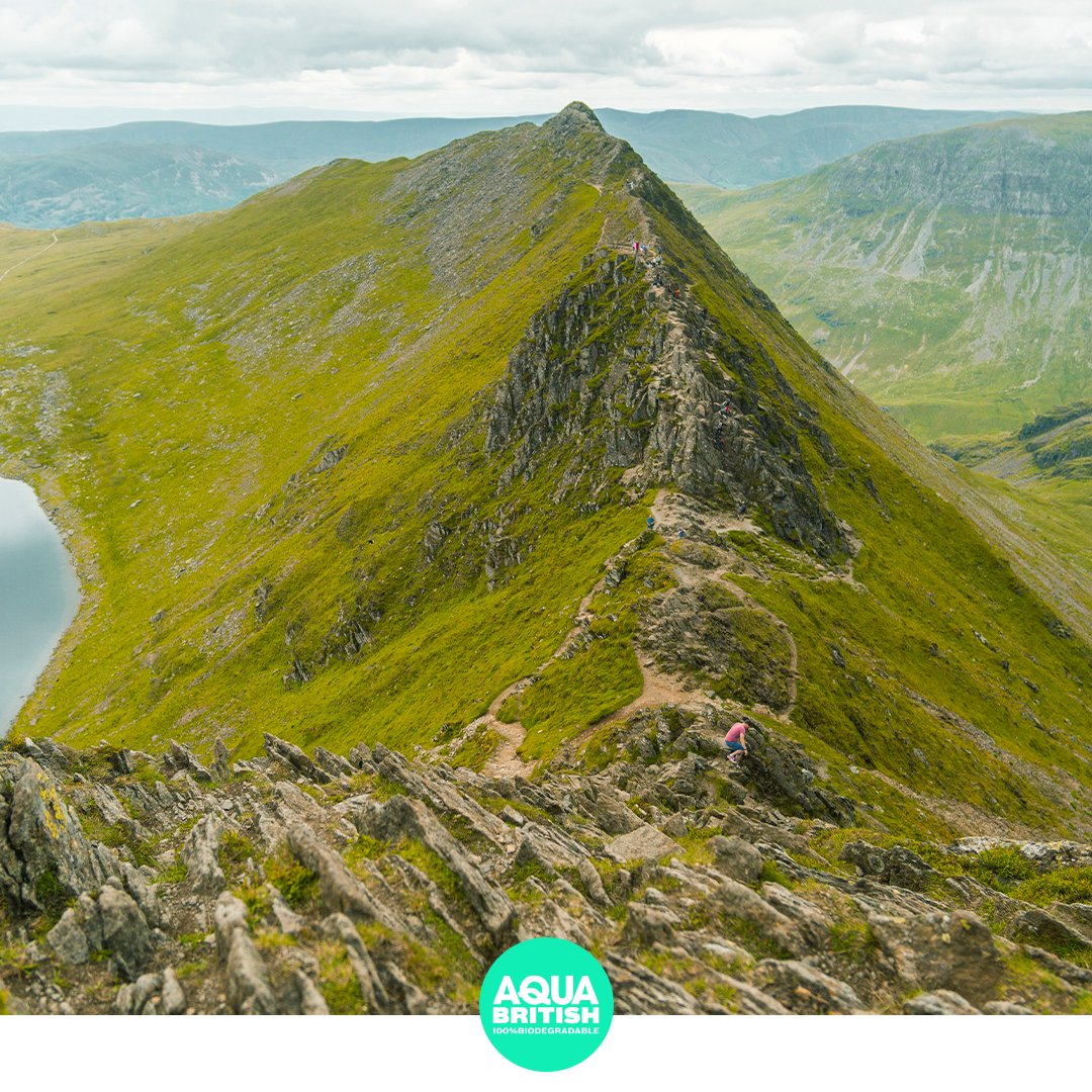 aqua_british's tweet photo. As you may know, our motto is, we all thirst for a better world! We use recyclable bottles, and biodegradagble sugar cane, but what do you do for a better world? Leave a comment down below! ⬇️💧🌎 #aquabritish #100percentcompostable #sustainablepackaging https://t.co/kCSVOZqTwR