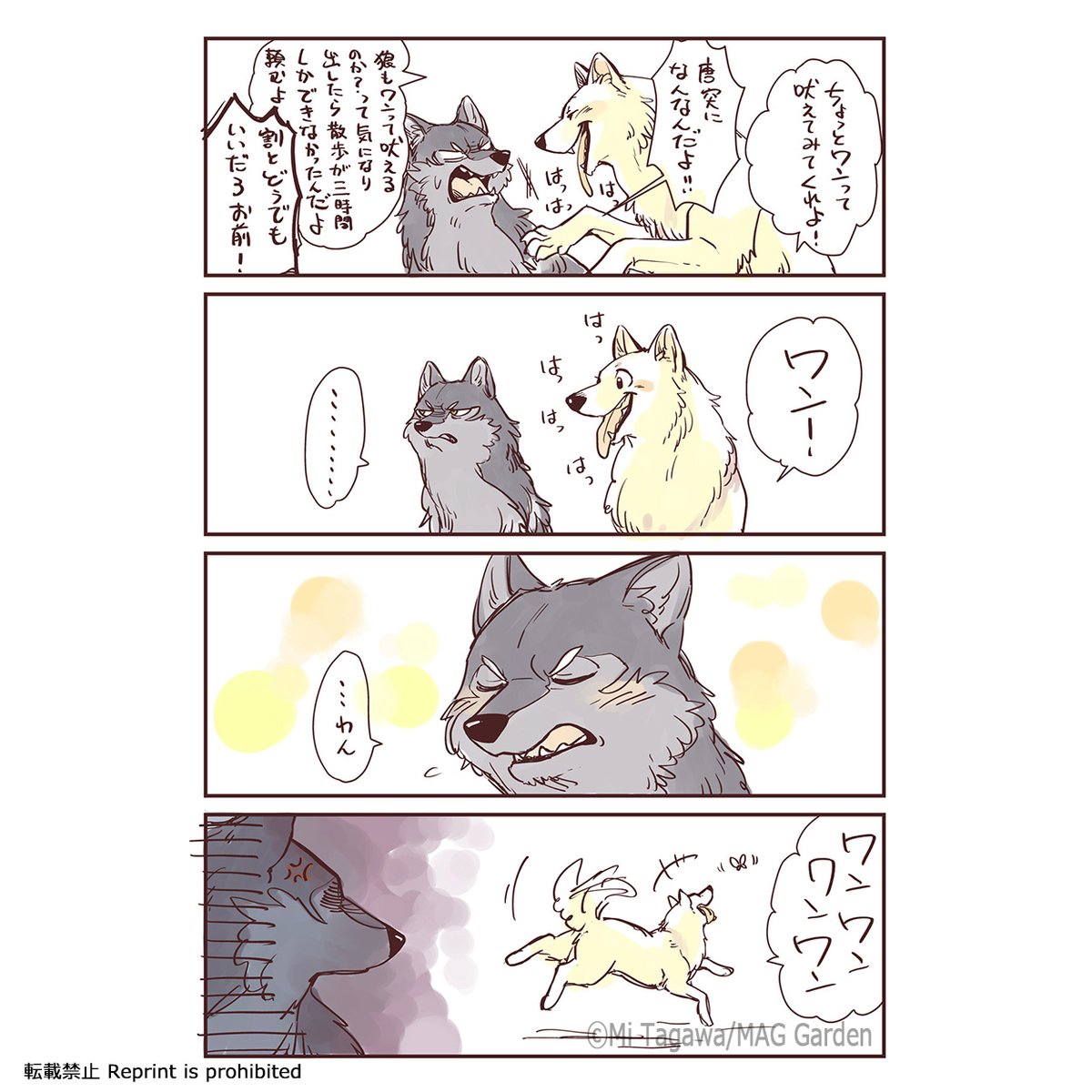 【こりせんまん登場動物④深雲(みくも)⑤橘(たちばな)】
大口真神という神格を持った特別な狼の群れに所属しており阡三の目付役。黒い方が深雲で白い方が橘(※犬)。二匹は対(つい)と呼ばれるバディを組んでいてお役目中はいつも行動を共にしている。
#こりせんまん