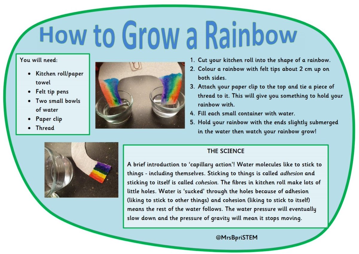 Day 6 - How to Grow a Rainbow

Rainbows are popping up in windows to spread positivity and for people to spot as they walk by.

Grow your own rainbow to hang in your window or add to your collection!