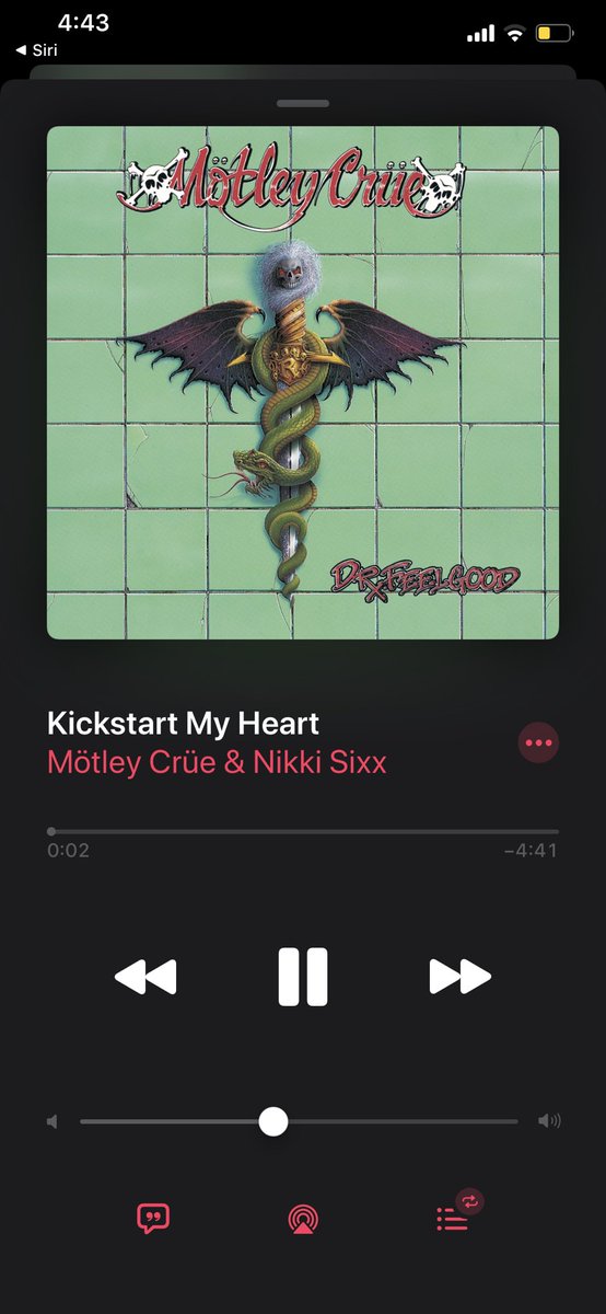 Schizoprenic Chihuahua tweet media