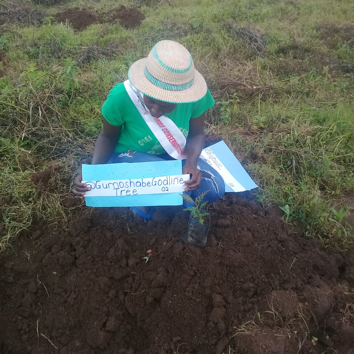MourineAsiimwe's tweet photo. I plant a tree for every new follower.
No.2 @GumoshabeGodli1
#WorldEnvironmentaDay #climateaction #missconservationKigezi #plantaPlantHope https://t.co/zun5VdXf2z