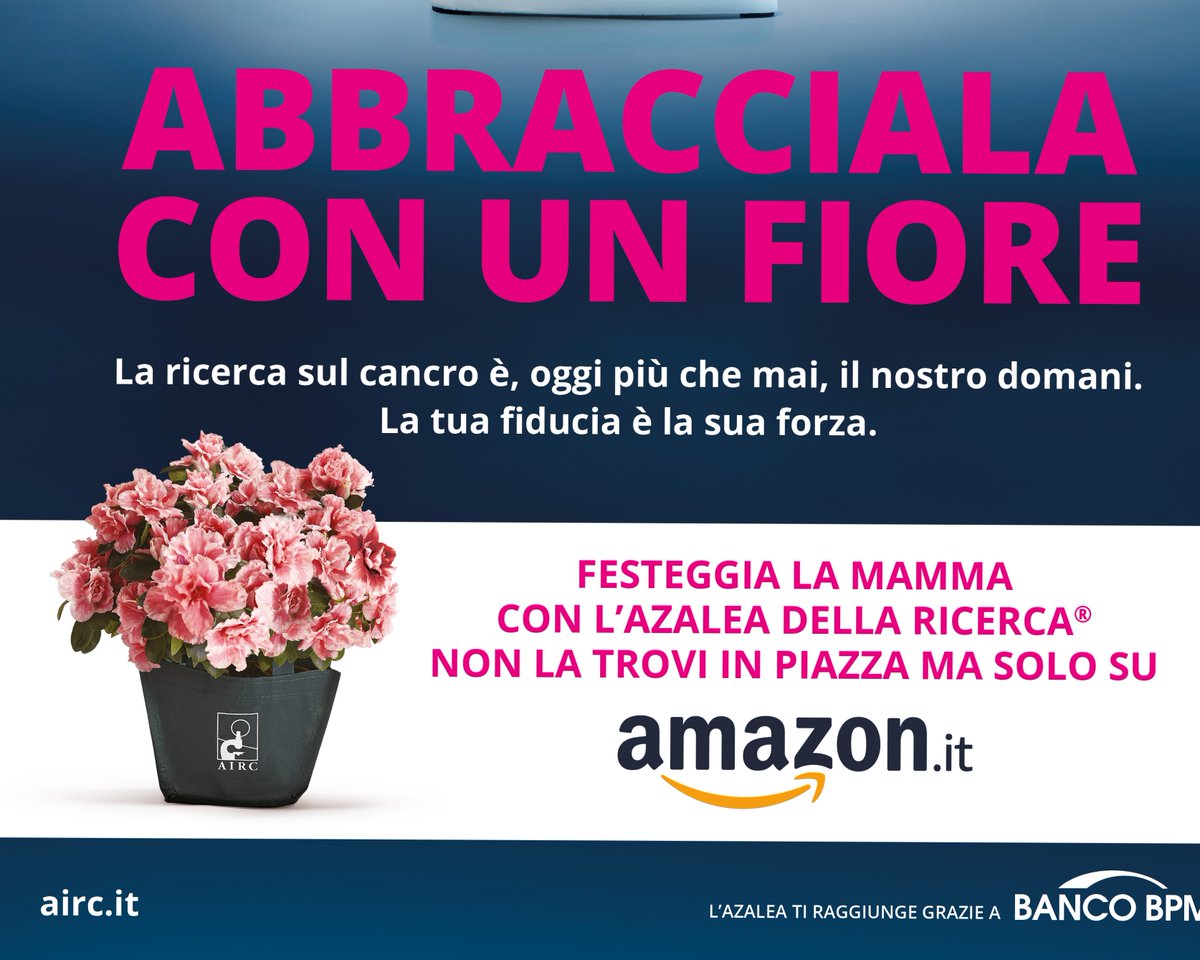 salzona's tweet photo. Segui l'intervista di @primocanale sull'importanza della #ricercaoncologica anche in tempi di #covid19 e sostienila acquistando l'azalea di #AIRC https://t.co/2AARDwx23k