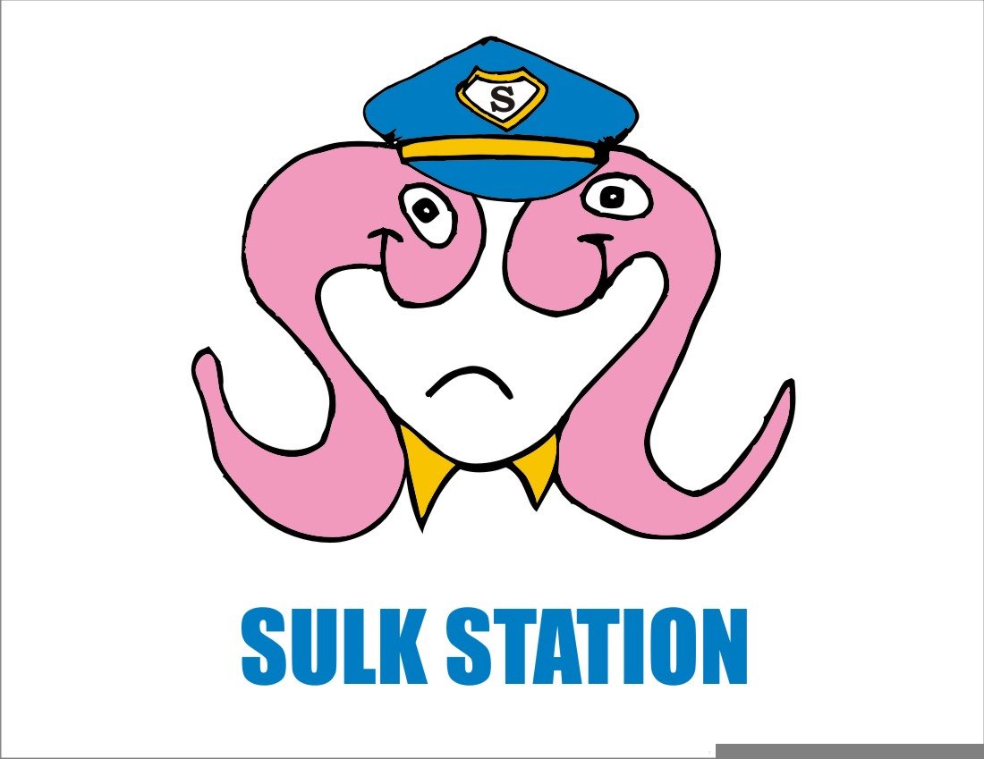 sulk station tweet media