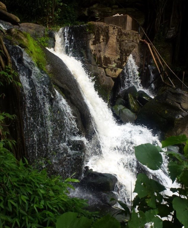 nature_exp's tweet photo. Oloolua Nature Trail - The water falls.
This typa peace is what we all need after #COVIDー19 😩
#postpandemictours #nature #twendekenya #olooluanaturetrail #staysafe
#natureexpeditions #naturenbeyond #gokenya #toafrika

#willisraburu https://t.co/x5UyZMSkL2