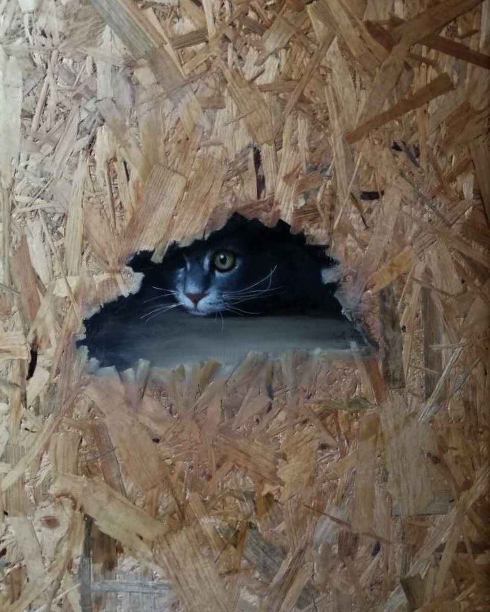 OSB in art!  A local artist tells us she uses this regularly as canvas.  OSB has a great texture and gives a unique finish.  

Want to give it a try?  
11mm 2440mm x 1220mm OSB £12.50 INC VAT
18mm 2440mm x 1220mm OSB £20.00 INC VAT