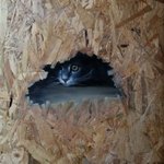 Photo by Haven Timber (@Haven_Timber)
