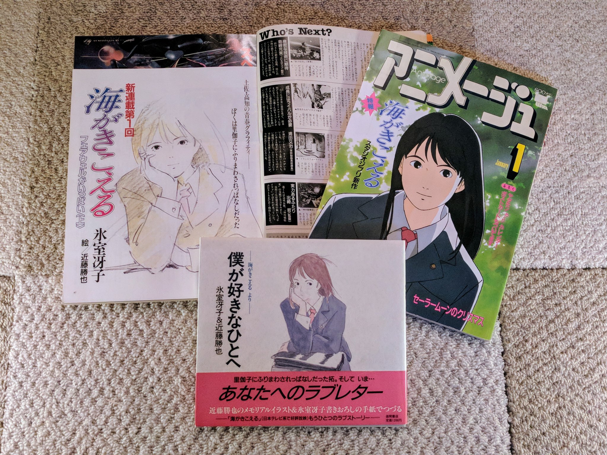 アニメージュ切り抜き 海がきこえる 全話コンプリート - 文学/小説