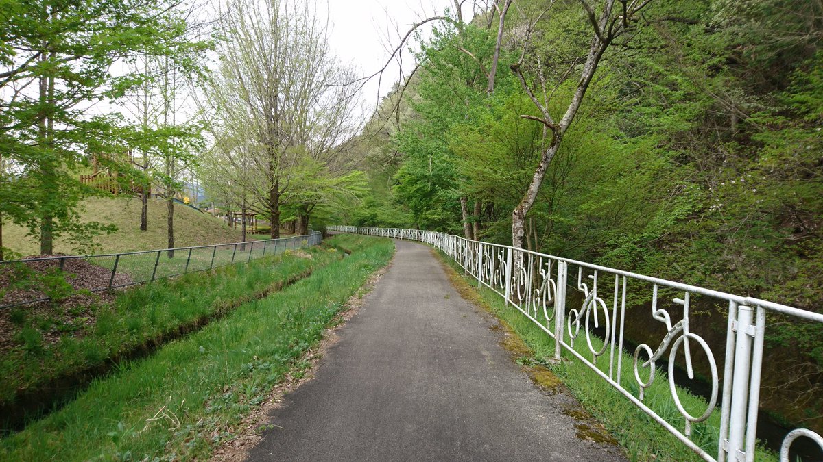 今日は市民プール沿いのサイクリングロードを散歩👣🚶
新緑が綺麗な季節になりました🌳🌿 https://t.co/lo36CF4i9N