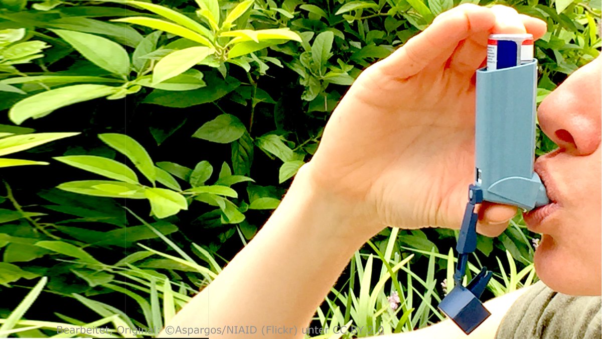 mastd_rlp's tweet photo. Zum Welt-#Asthma-Tag betont MIN @Sabine_Baetzing: „Verschieben Sie auch in der aktuellen Situation keinesfalls notwendige Arztbesuche aus Angst vor Infektionen, v.a. bei Atemnot! Asthma ist eine ernste Erkrankung, die medizinischer Behandlung &amp; Überwachung bedarf.“ https://t.co/mKTlq96ksq