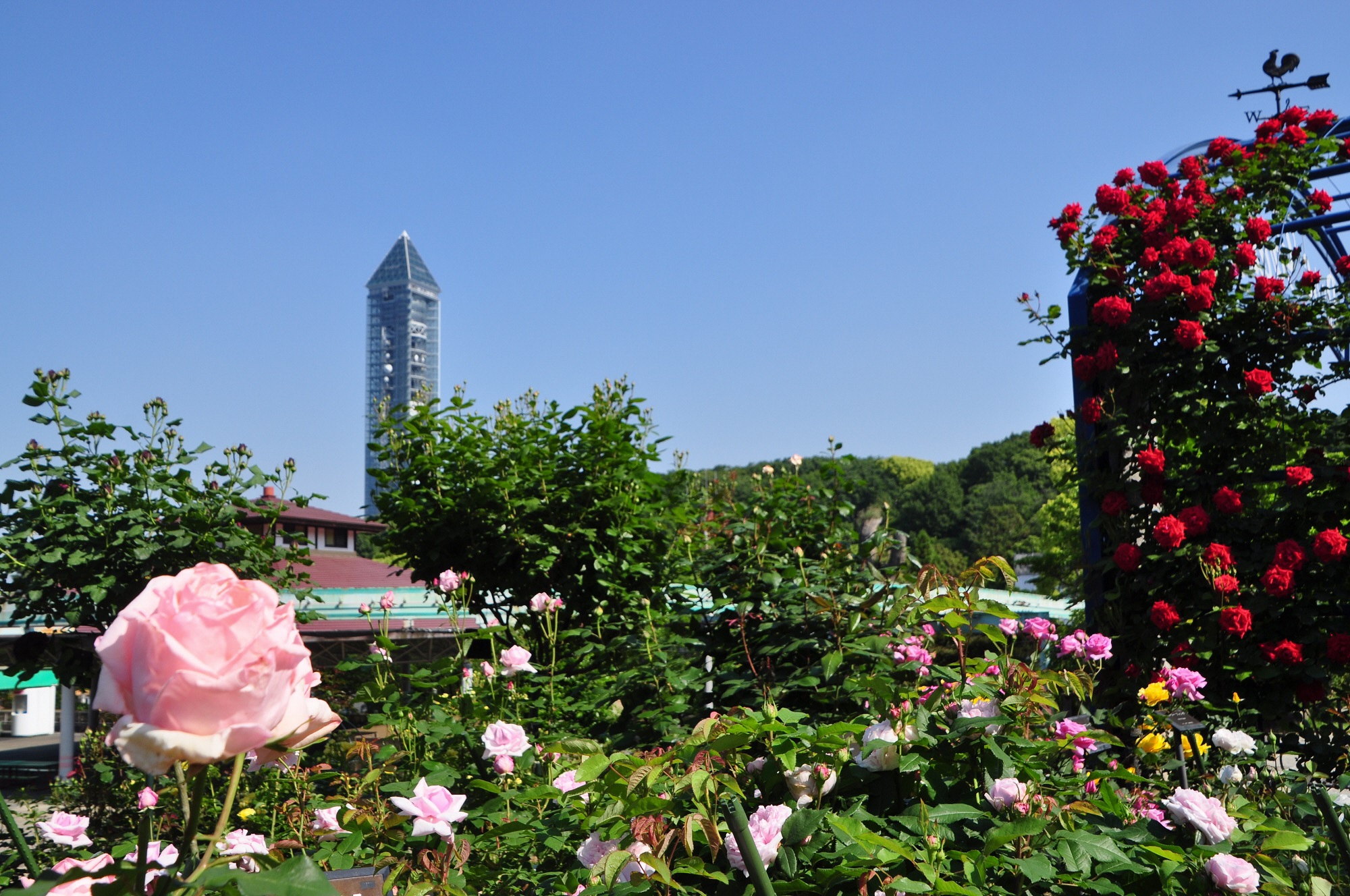 动物园 Recherche Sur Twitter Twitter