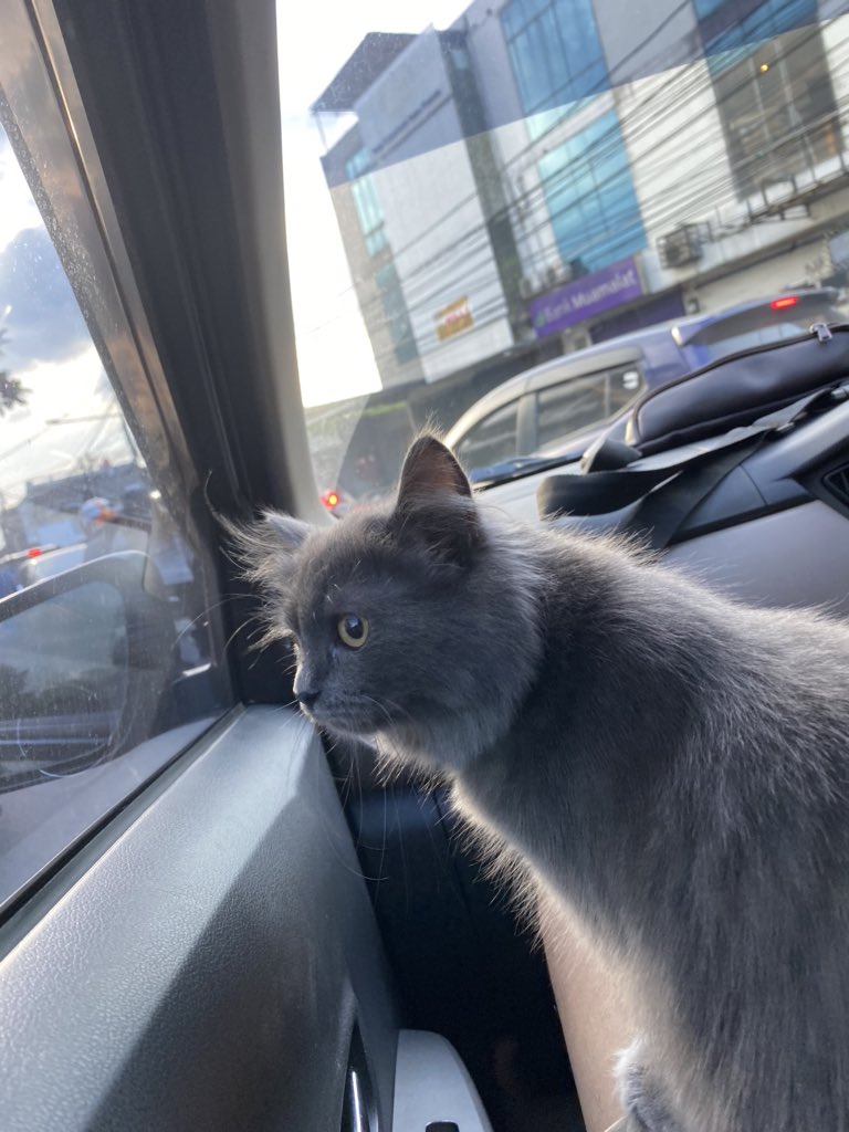 ngabuburit keliling kota sambil melihat kesenjangan antar warga.