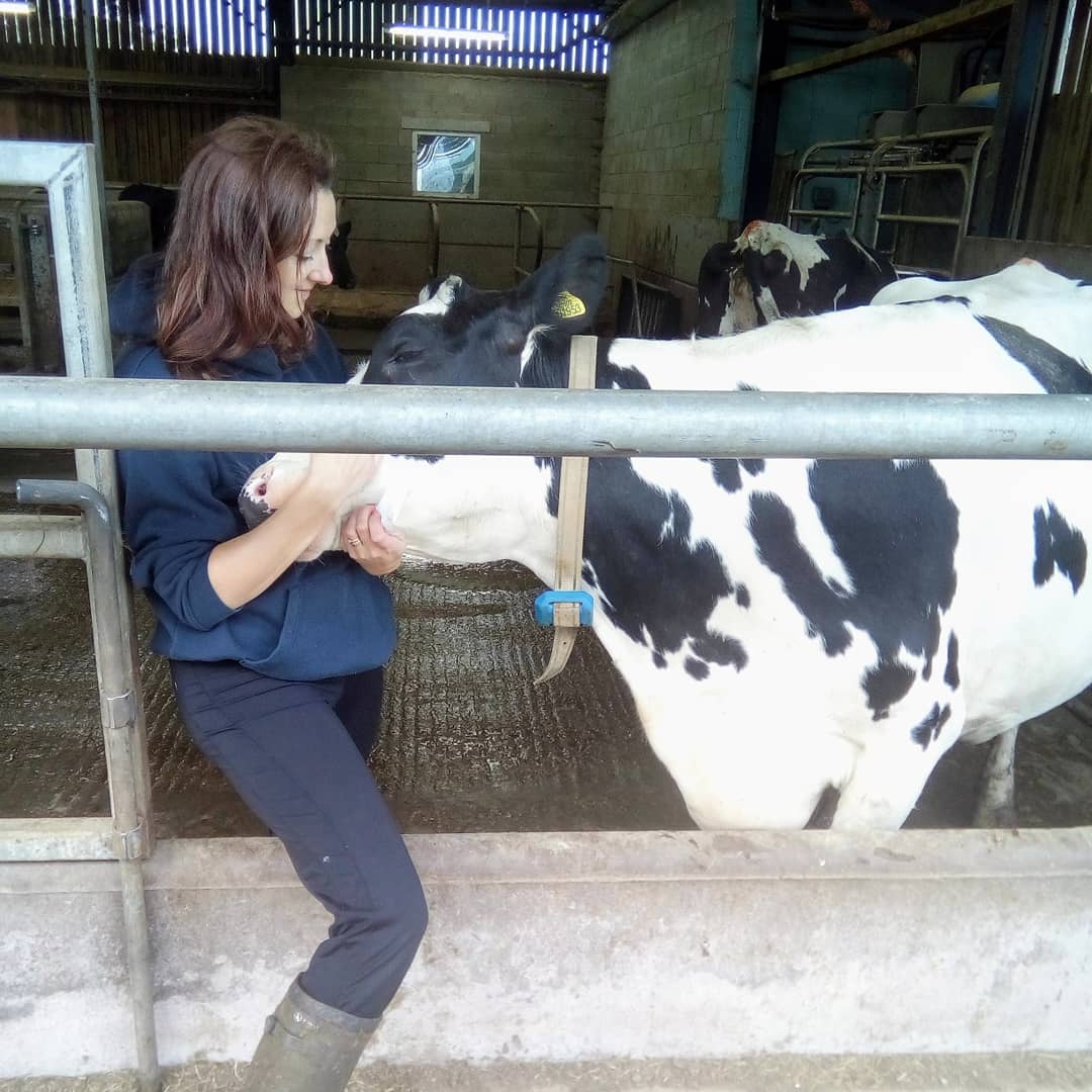 LodgeRaw's tweet photo. My lovely Pauline 🤗 🐮 ❤️ https://t.co/rBvQrB82xz
