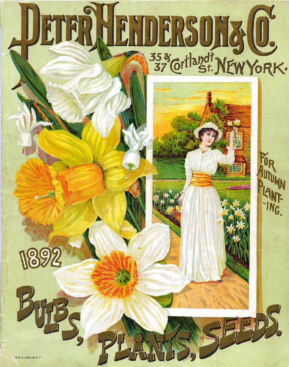 HamadyMadeline's tweet photo. The cover of this seed catalog shows a middle class woman from 1892 picking daffodils. Social class was determined in part by the type of garden you owned. Although it seems old school that concept is still present in society today. #SOC220 @SociologyTheory https://t.co/wiZCQkShoC