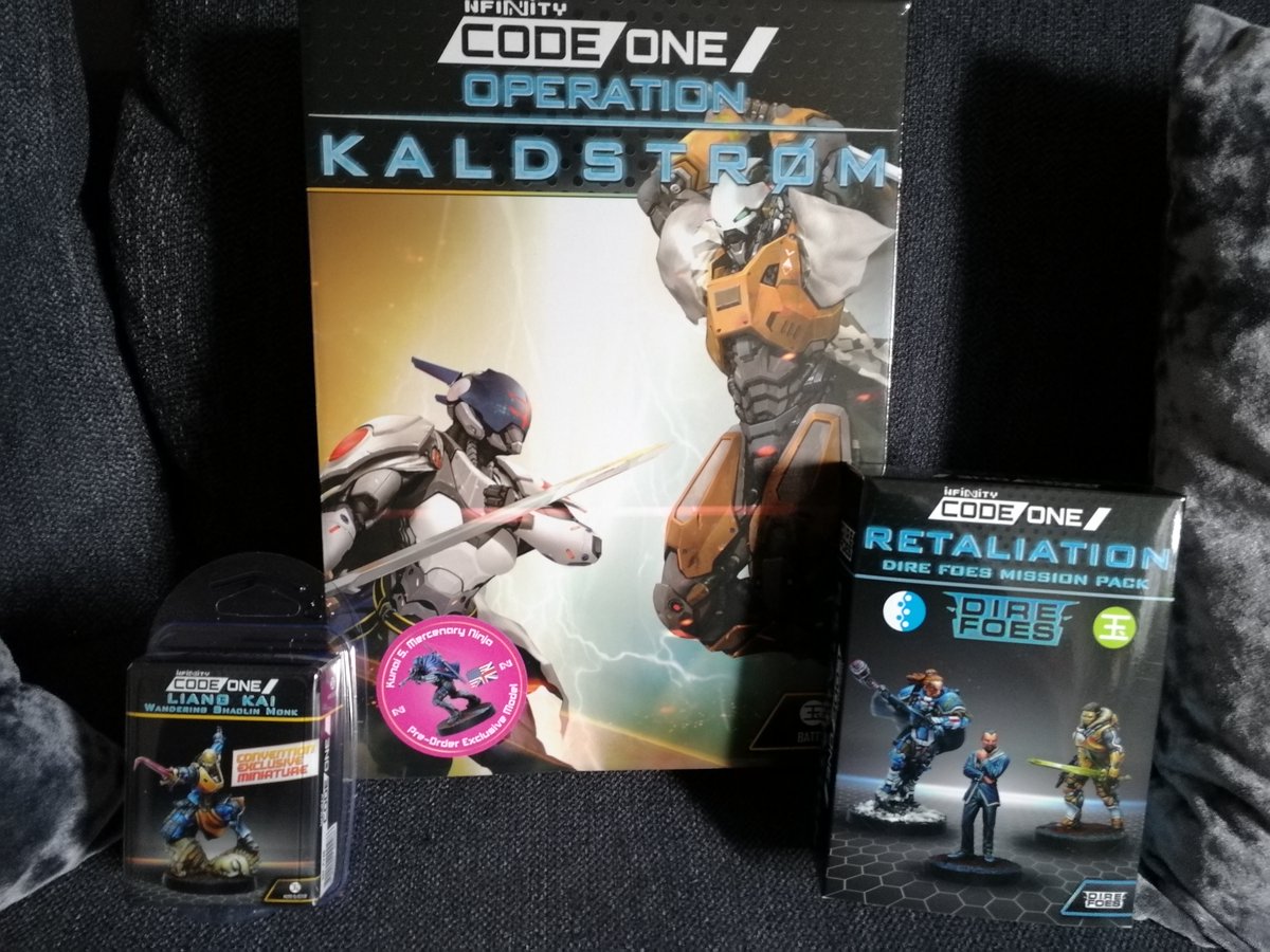 DukeofSilver's tweet image. Time to start on my combined knights/vikings fireteam

#infinitycodeone #Opkaldstrom