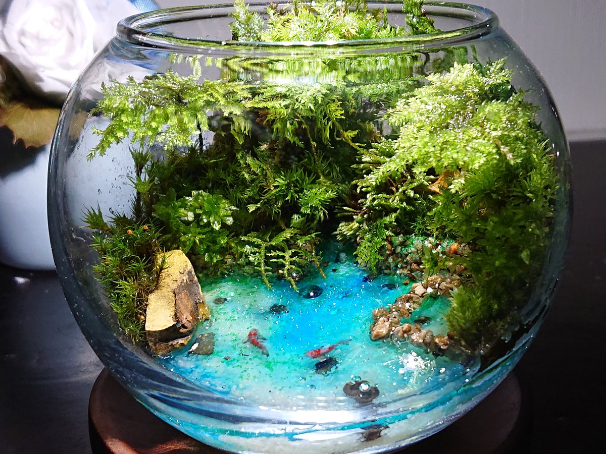 Sachihoko 苔兎 Japanforevertr1 レジンを流し込んで絵を描いて またレジン流し込んでまた描いて の繰り返しですよ この手法でめっちゃリアルな金魚作品を作られてる方も居ます Twitter Sachihoko 苔兎 Japanforevertr1 レジンを流し込んで絵を描いて またレジン流し込んでまた描いて の繰り返しですよ この手法でめっちゃリアルな金魚作品を作られてる方も居ます Twitter