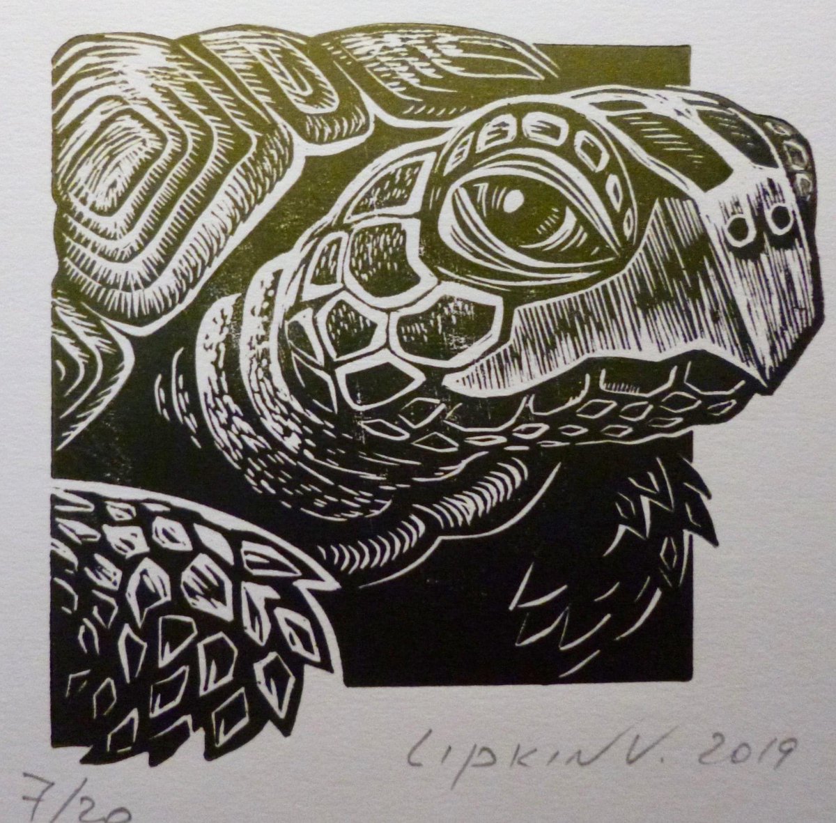 🌻GOOOOD MORNINGG🌻
 - ✨Hope everyone is doing well ✨- 
<< Today's Print of the Day >>
---- Turtle ,By Victor Lipkin -----
reddotartconsultancy.co.uk/apps/webstore/…