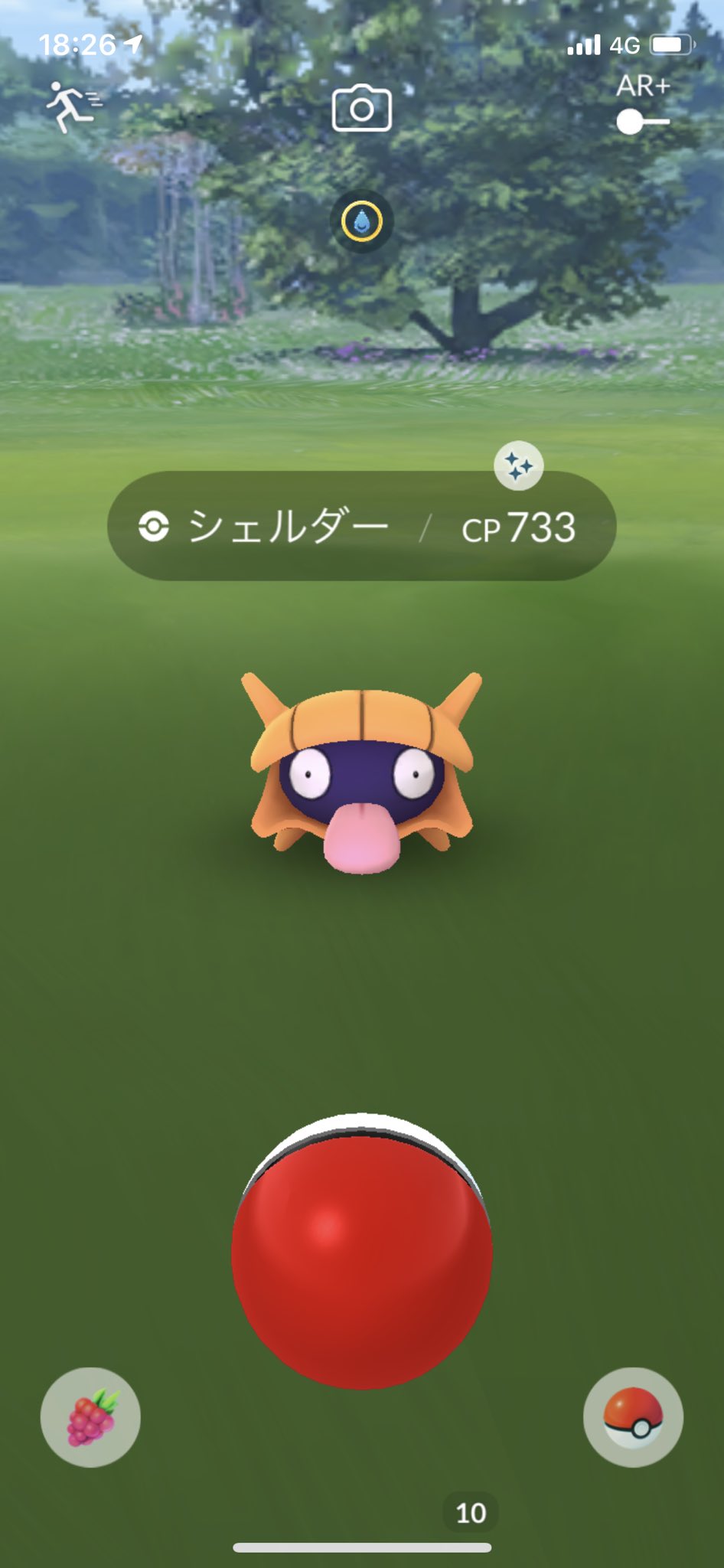 ナガノ 色違いシェルダーきたー ポケモンgo T Co Jmfzip5p4k Twitter