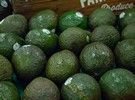 coollogistics's tweet photo. Avocados are hot in the Age of COVID-19 #COVIDใผ19 #avocado #food #foodsupply #supplychain #logistics #coldchain #coollogistics @FreshPlaza_com https://t.co/MYLamMeb25 https://t.co/9fKMFn5ym4