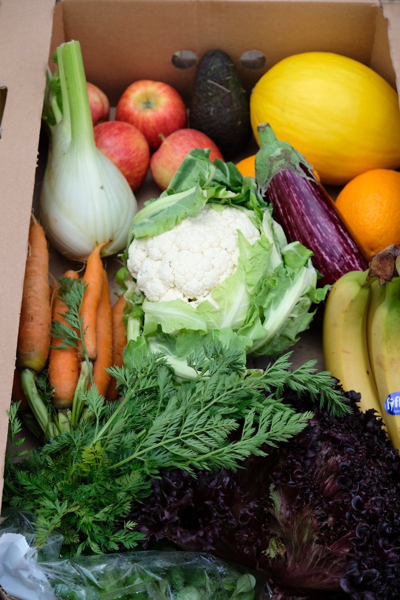 mercatometropol's tweet photo. Good MMorning, everyone! A reminder that our grocery shops in Elephant & Castle and Mayfair are open today from 11am - 7pm. If you're not local, you can order online. Gift Cards are now available from our e-shop, too! https://t.co/QwoLIylWc1 #MMDelivers #SupportLocal
https://t.co/XmORvDmNRo