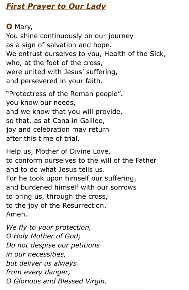 redeptsjs's tweet image. We hope our families and friends will join us and say a decade of the Rosary at 12 noon each day during May. We will focus on one mystery each week.  Pope Francis has provided two prayers to Our Lady that you can recite at the end of the Rosary and these can be found below.