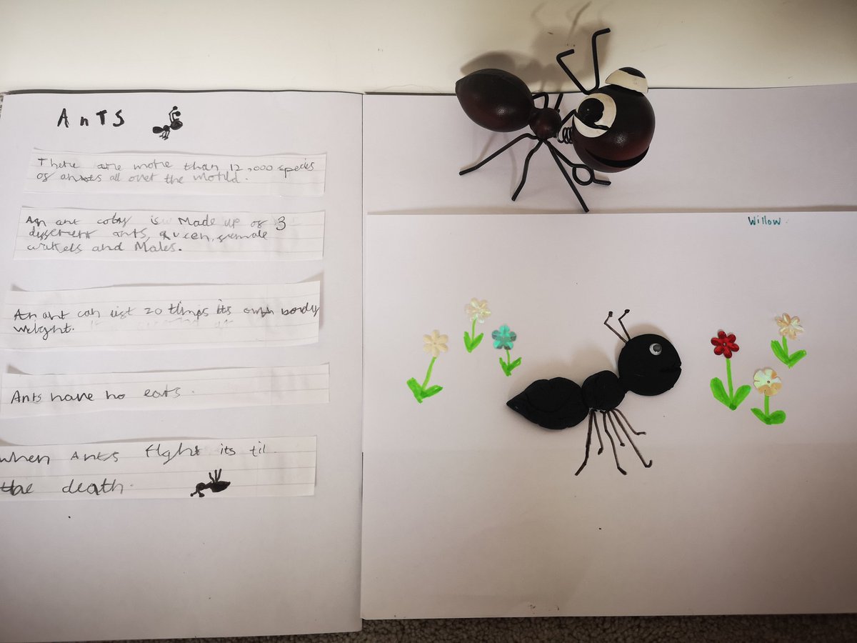 Lou_Hickey's tweet photo. Willow is so pleased with her ant work 🐜 @GoringCofE  #minibeast #homeschooling https://t.co/8X3hicIj05